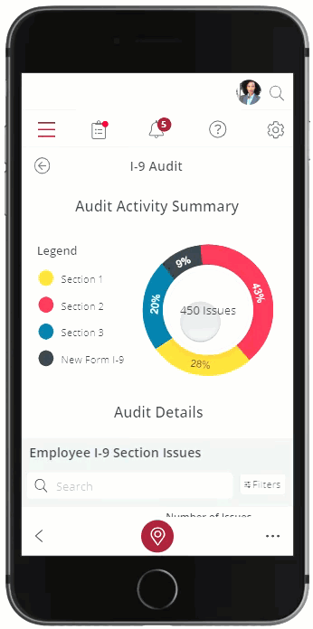 Audit Summary Details Mobile